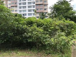 Blk 315C Corporation Tiara (Yishun), HDB 5 Rooms #589824241